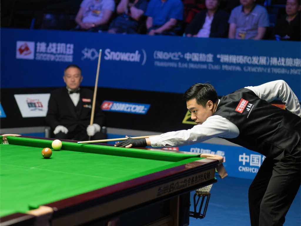 森质疑的分 森质疑的分